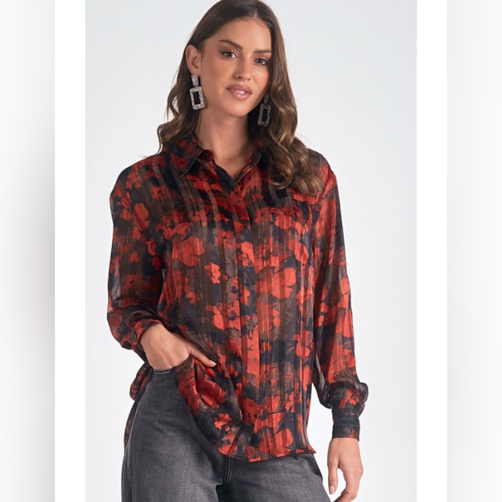 Elan blouse long sleeve sheer